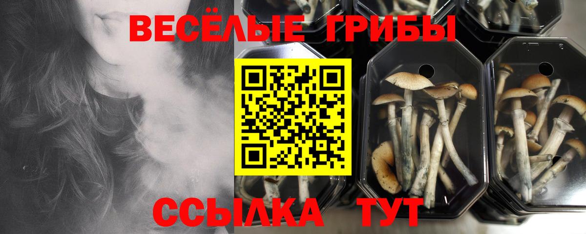 Верхняя Салда  Псилоцибиновые грибы MAGIC MUSHROOMS  Вход с VPN 