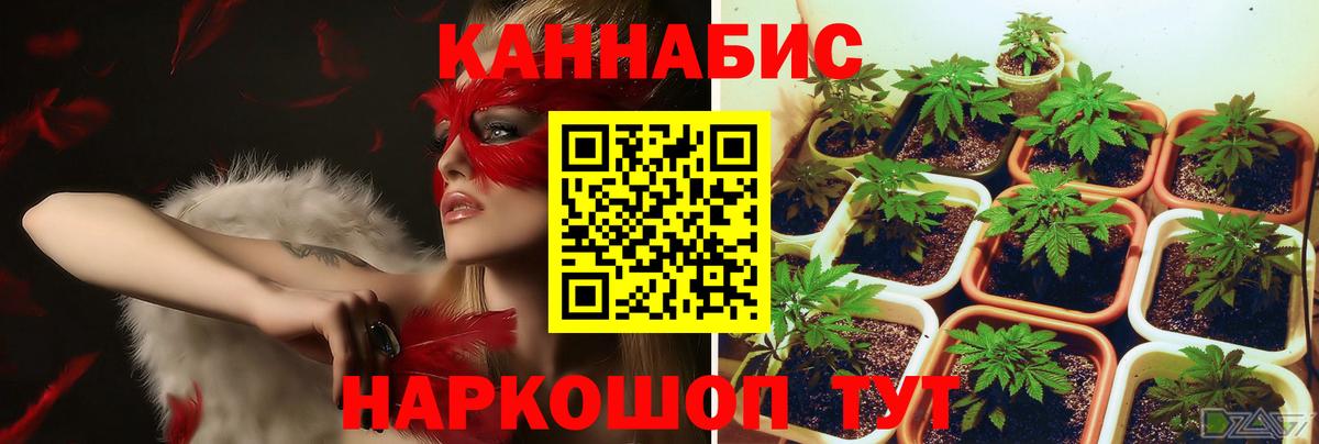 МАРИХУАНА тримм  Бошки Шишки LSD WEED  Верхняя Салда  Вход с VPN  Канабис гибрид 